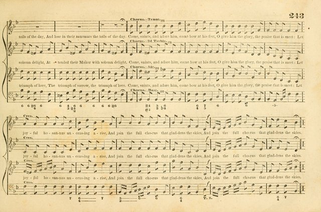 The New York Choralist: a new and copious collection of Psalm and hymn tunes adapted to all the various metres in general use with a large variety of anthems and set pieces page 243