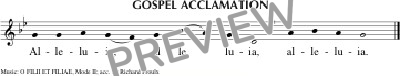 Score placeholder