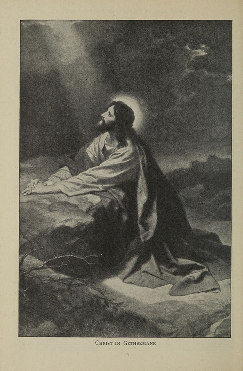American Church and Church School Hymnal: a new religious educational hymnal page 208