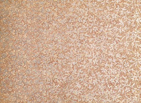 Christ in Song: containing over 700 best hymns and sacred songs new and old page ii