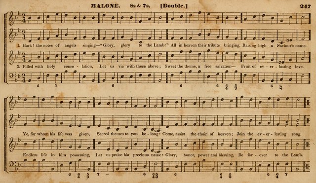 The Choir: or, Union collection of church music. Consisting of a great variety of psalm and hymn tunes, anthems, &c. original and selected. Including many beautiful subjects from the works.. (2nd ed.) page 247