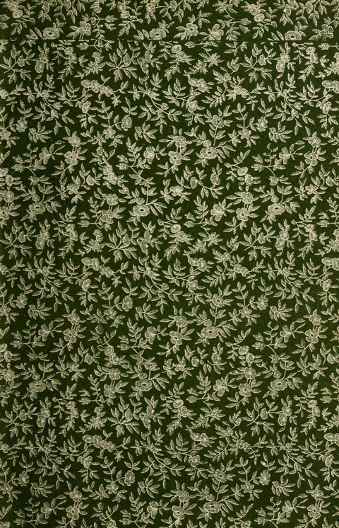 Gesangbuch für deutsche Gemeinden: enthaltend Psalmen und geistliche Lieder für öffentlichen und häuslichen Gottesdienst page 511