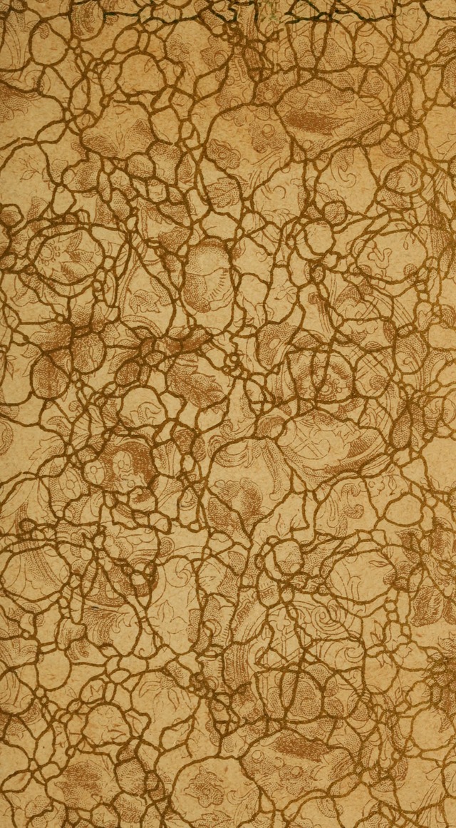 Gesangbuch der Evangelischen Kirche: herausgegeben von der Deutschen Evangelischen Synode von Nord-Amerika page iii