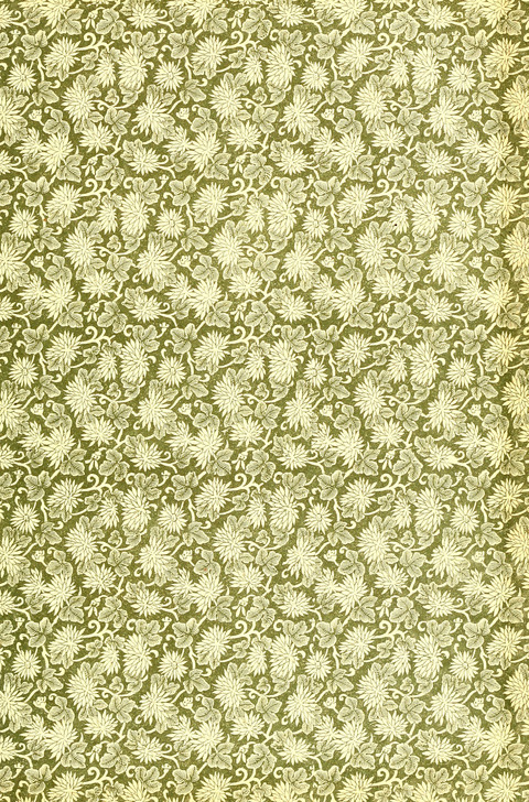 Garden of Spices: a choice collection for revival meetings, missionary meetings, rescue work, church and Sunday schools page 293