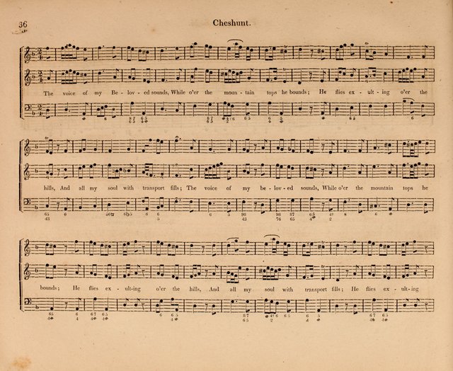 Harmonia Sacra: a Compilation of Psalm and Hymn Tunes [from the most celebrated European masters] page 36