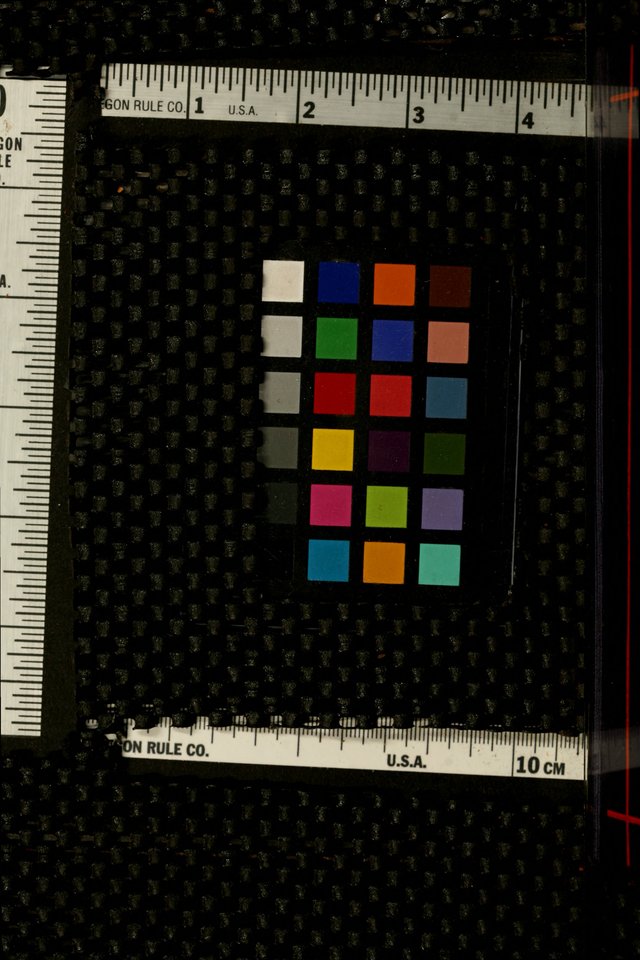 Hymns of the Christian Centuries page cover