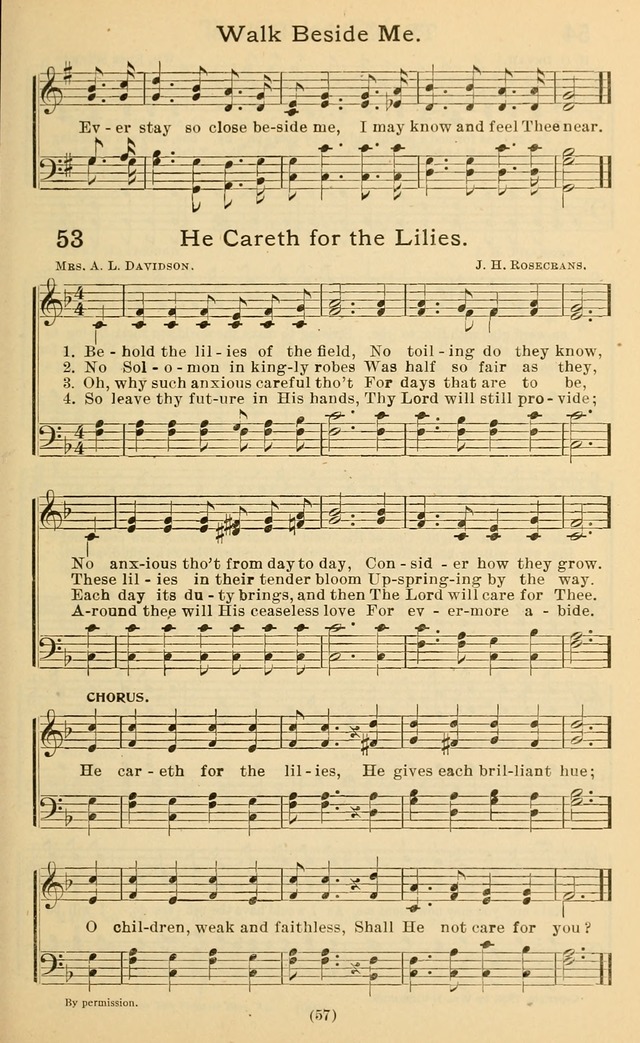 [Behold the lilies of the field]