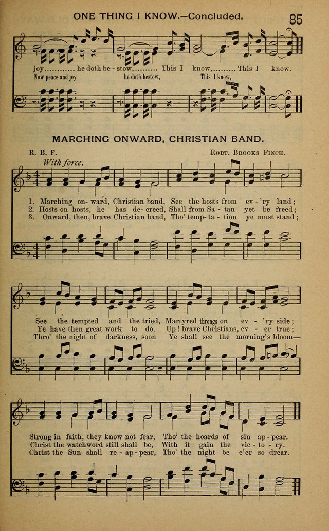 Light in the Valley: a new work of great merit for the Sunday school, revivals, Christian Endeavor, Epworth League, young people