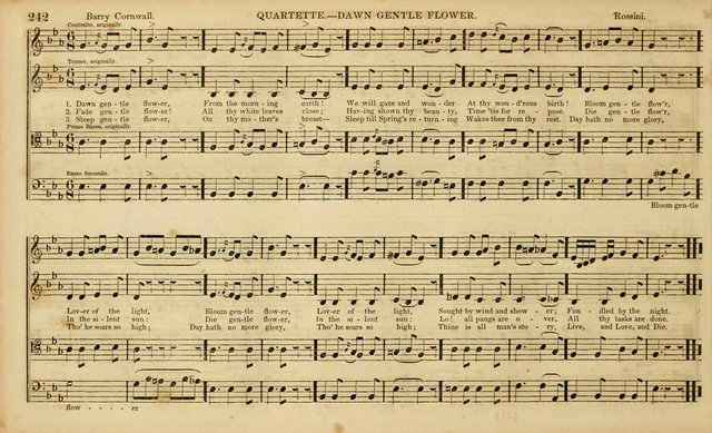 The Mozart Collection of Sacred Music: containing melodies, chorals, anthems and chants, harmonized in four parts; together with the celebrated Christus and Miserere by ZIngarelli page 242