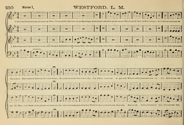 The New Harmonia Sacra: a compilation of genuine church music comprising a great variety of metres, harmonized for four voices (Eighteenth Edition) page 211