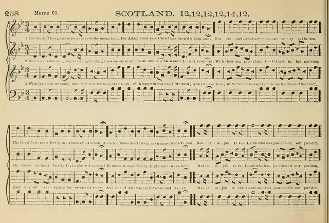 The New Harmonia Sacra: a compilation of genuine church music comprising a great variety of metres, harmonized for four voices (Eighteenth Edition) page 219