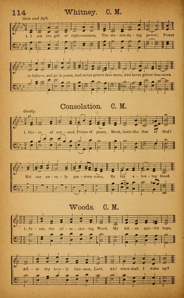 New Hymn and Tune Book: an Offering of Praise for the Use of the African M. E. Zion Church of America page 119