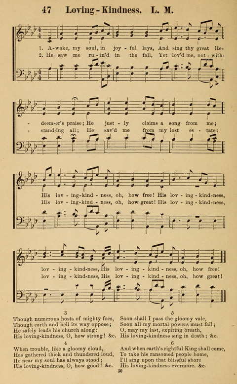 The New Jubilee Harp: or Christian hymns and song. a new collection of hymns and tunes for public and social worship page 30