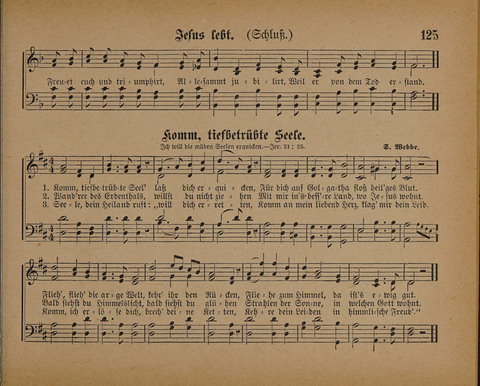 Pilger Lieder: für die Sonntagschule, Erbauungsstunde, Familie, u.s.w. page 125