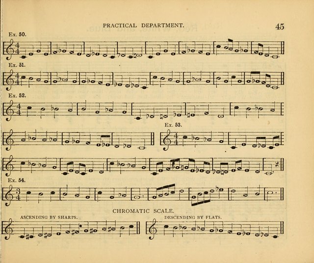 Peerless Praise: a collection of hymns and music for the Sabbath school, with a complete department of elementary instruction in the theory and pract page 1