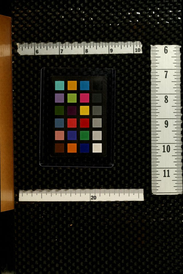 Revival Gems: a small book with a big mission page 67