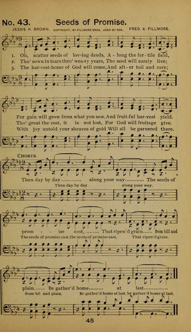 Songs of the Evening Light: for Sunday schools, missionary and revival meetings and gospel work in general page 45