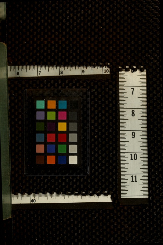 Service Songs for Young People