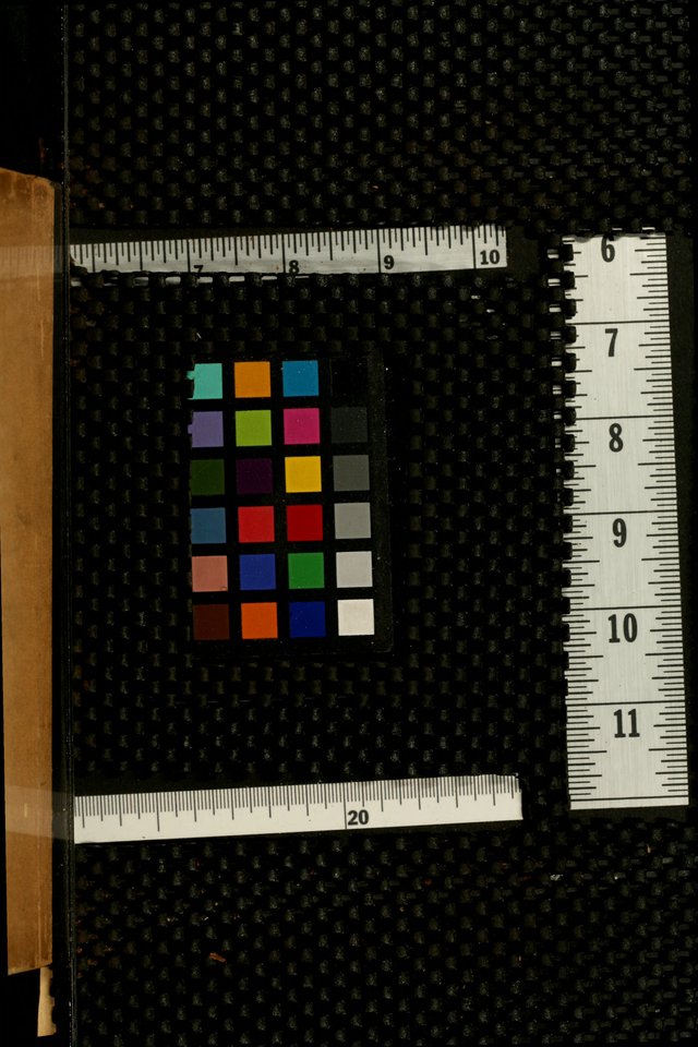 Sifted Wheat: a collection of songs for Sunday schools, young people