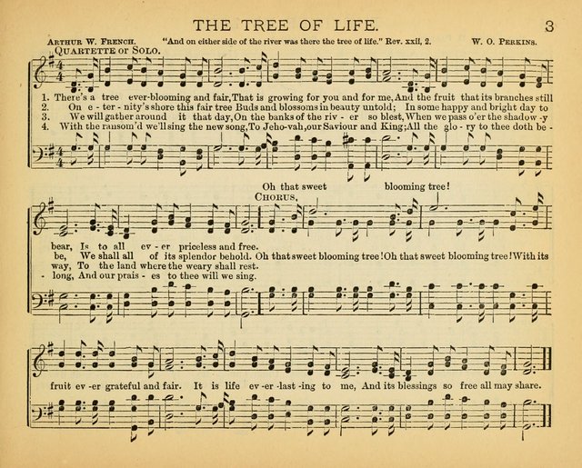 The Tree of Life: for Sunday Schools and Gospel Meetings page 3