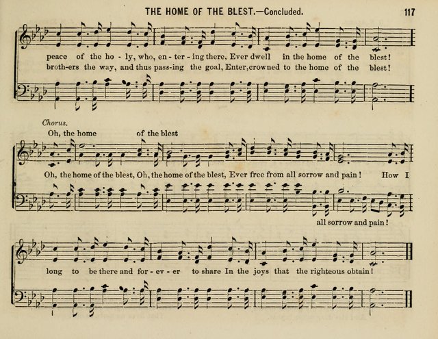 The Welcome: a collection of songs, hymns, chants, anthems and choruses,for the Sabbath school and home sircle page 117